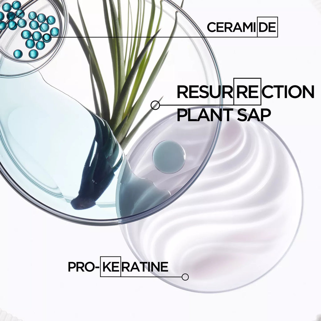 Résistance Bain Force Architecte Shampoo