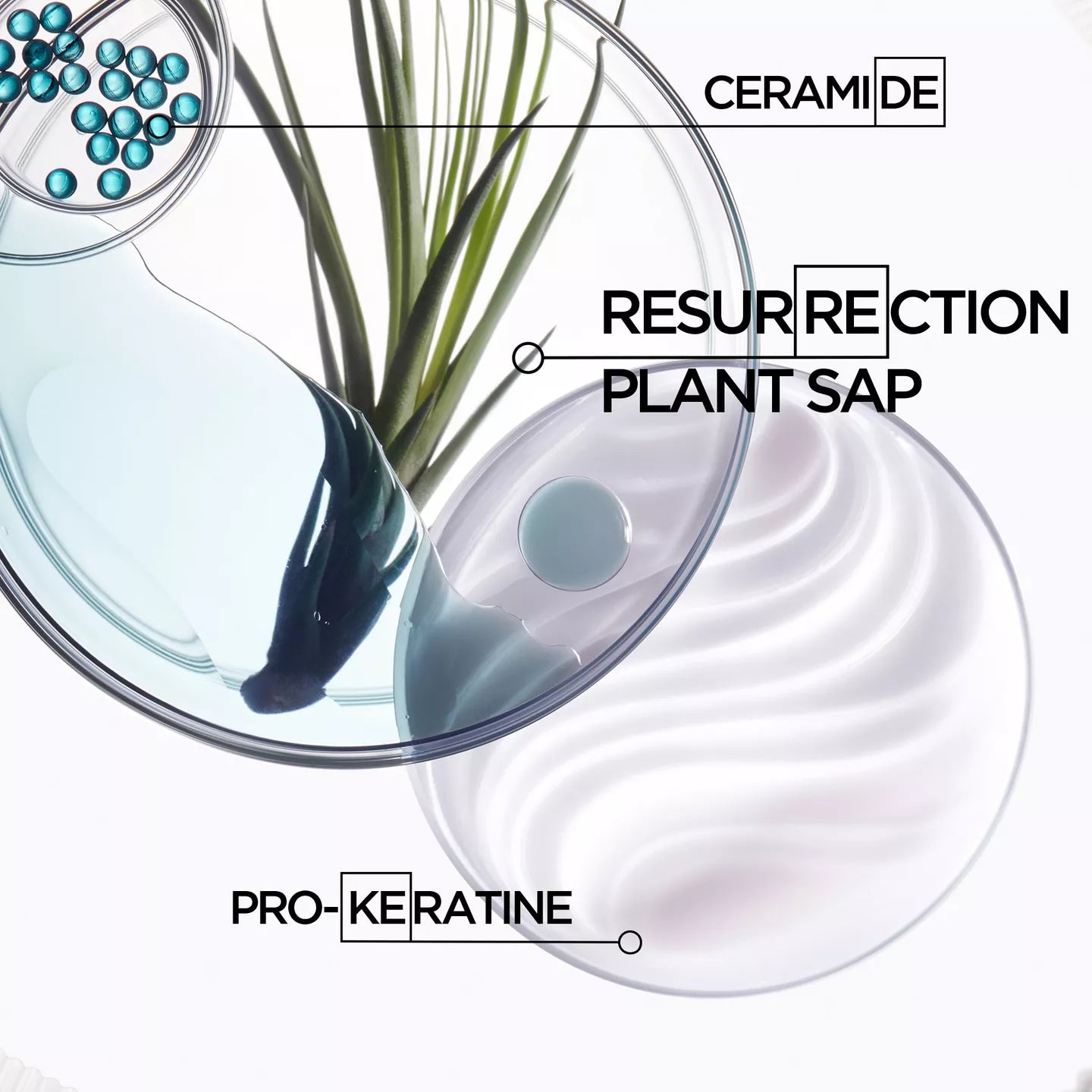 Résistance Bain Force Architecte Shampoo
